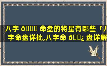 八字 🐘 命盘的将星有哪些「八字命盘详批,八字命 🌿 盘详解」